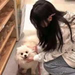 荡剑长歌无忧玩官方下载